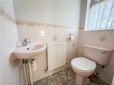 Picture 12